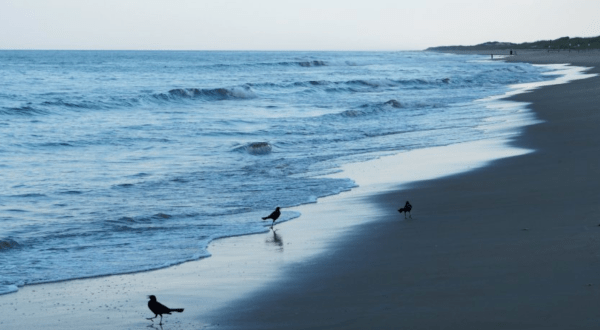 Take A Quiet, Oceanside Stroll On The Beach When You Visit Sandbridge, Virginia
