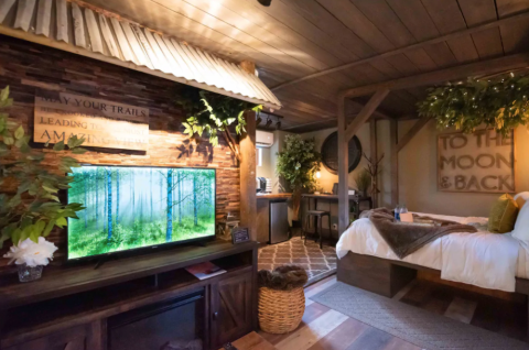 Spend The Night In This Forested Treehouse-Themed Room In Florida