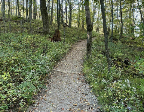 Skip The Gym And Hike Sharp Top Trail, A Challenging Virginia Trail With Grand Views Of The Mountains
