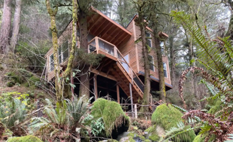 Sleep Among Lush Ferns And Towering Trees At The Lilly Glen Tree House In Oregon