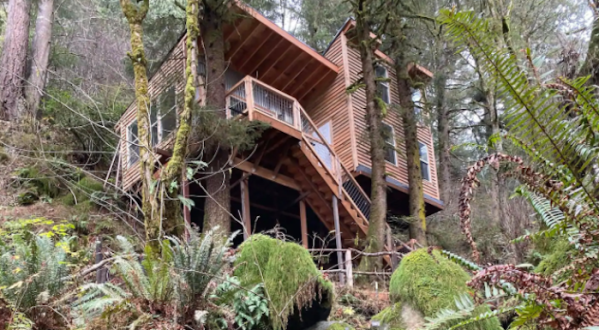 Sleep Among Lush Ferns And Towering Trees At The Lilly Glen Tree House In Oregon