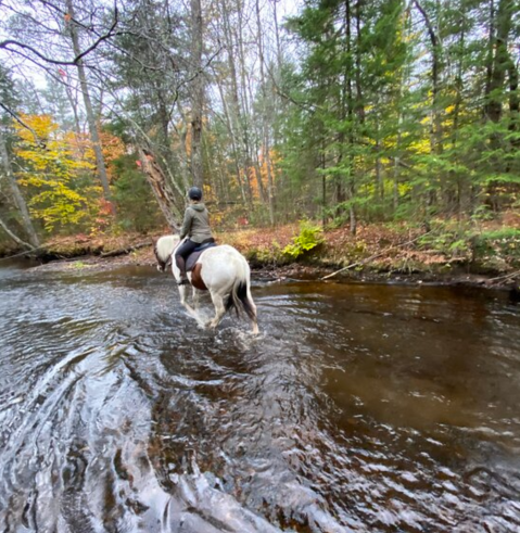 Visit The Forest And Mountains By Horseback On This Unique Tour In Maine