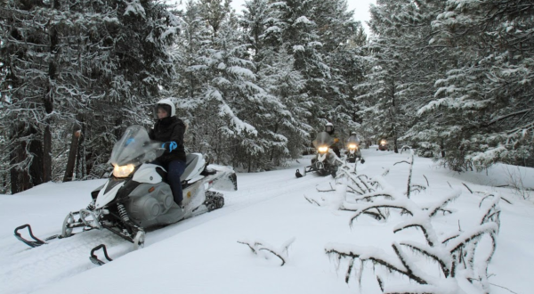 Rent A Snowmobile In Montana And Go Off-Roading Through The Bitterroot And Sapphire Mountains