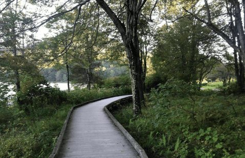 Hike Abbott Lake Loop In Virginia's Blue Ridge For Beautiful Mountain Views Without Much Effort