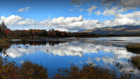 You Haven't Lived Until You've Experienced This One Incredible Wildlife Refuge In New Hampshire