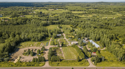 Spend The Night In An Airbnb That's At An Actual Plant Nursery And Vineyard Right Here In Minnesota