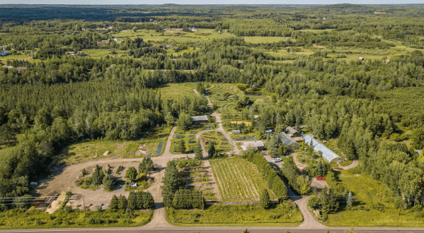 Spend The Night In An Airbnb That’s At An Actual Plant Nursery And Vineyard Right Here In Minnesota