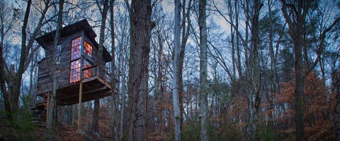 Treetop Hideaways In Georgia Is The Treehouse Getaway Adults Will Love