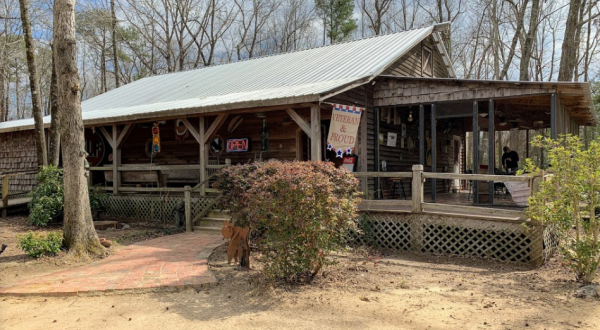 The Only Lizardman-Themed Restaurant In South Carolina, Harry And Harry Too Is One You Shouldn’t Pass Up