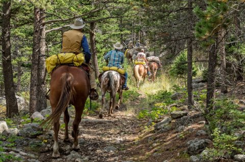 Explore The Absaroka-Beartooth Wilderness By Horseback On This Unique Tour In Montana