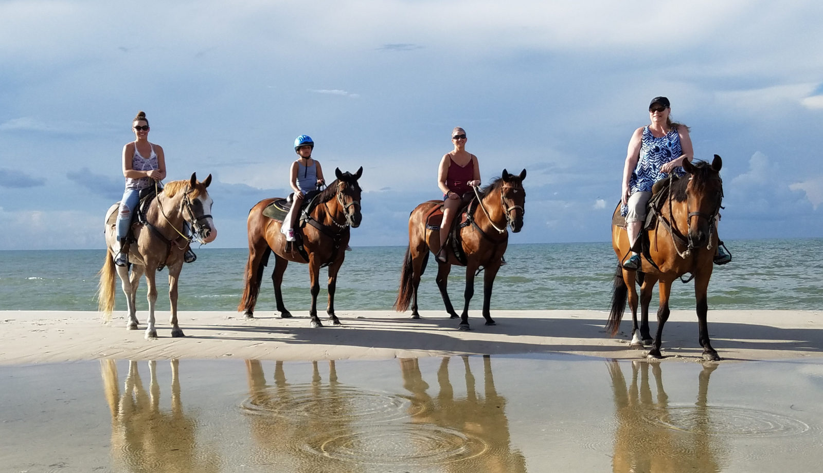 horse tours beach