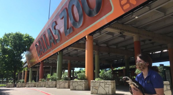 This Texas Zoo Is Offering $8 Admission Through February 2021