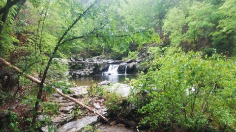 Alabama's Most Refreshing Hike, The Chinnabee Silent Trail, Will Lead You Straight To A Beautiful Swimming Hole
