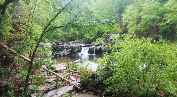 Alabama’s Most Refreshing Hike, The Chinnabee Silent Trail, Will Lead You Straight To A Beautiful Swimming Hole