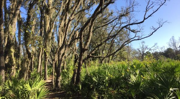 What Was Once A Phosphate Mining Site Is Now An Incredible State Park In Florida
