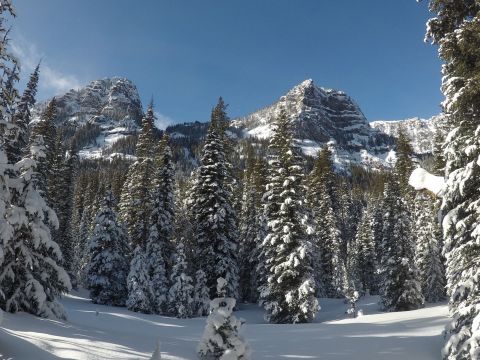 The Champagne Falls Trail In Montana Makes An Easy, Beautiful Winter Hike