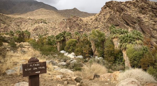 Andreas Canyon Loop Is An Easy Hike In Southern California That Will Lead You Someplace Unforgettable