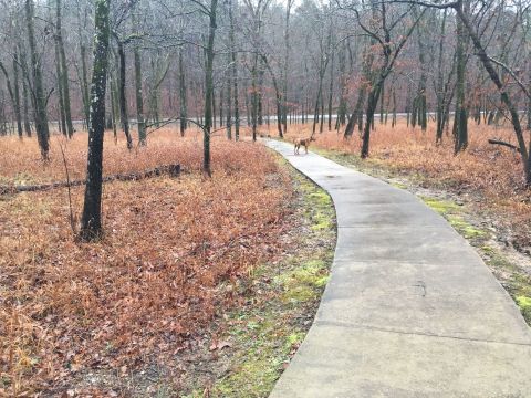 Nature Is Accessible To Everyone Along Slunger Creek Nature Trail In Arkansas