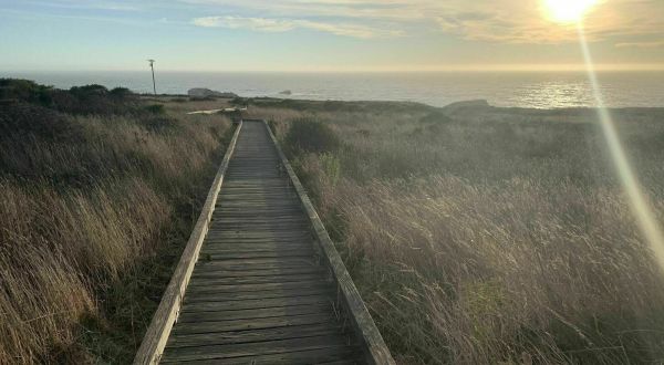 Winding Along The Ocean Cliffs, The Kortum Trail Is An Idyllic Coastal Hike In Northern California