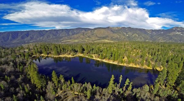 Spend A Peaceful Day Fishing at Jenks Lake in Southern California For Rainbow Trout And Catfish