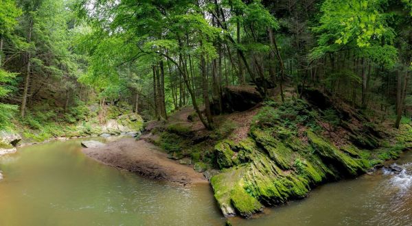 This Loop Trail In Maryland Is Currently A Mossy Paradise You’ll Want To See In Person