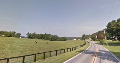 Falls Road Is A Back Road You Didn't Know Existed But Is Perfect For A Scenic Drive In Maryland