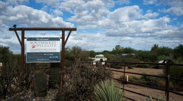 The Unique Day Trip To Southwest Wildlife Conservation Center In Arizona Is A Must-Do
