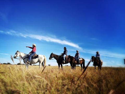 Enjoy The Rolling Hills Of Oklahoma On A Scenic Horseback Ride Led By Arbuckle Trail Rides