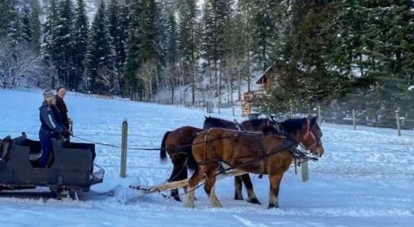 Take a Charming Ride Through Wintry Woods With A Sleigh Ride At Red-Tail Canyon Farm In Washington