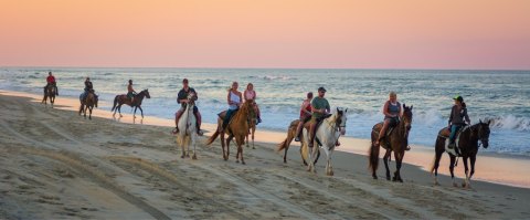 Visit The Ocean By Horseback On This Unique Tour In Virginia Beach