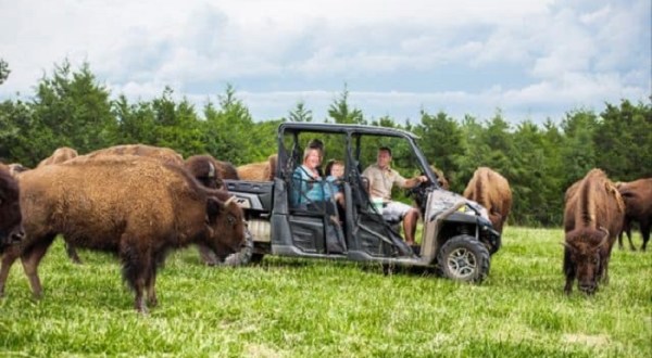 Ride In A UTV In Missouri And Go Off-Roading Through Promised Land Zoo