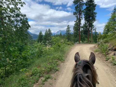 Visit The Cascade Mountains By Horseback On This Unique Tour In Washington