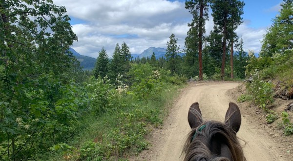 Visit The Cascade Mountains By Horseback On This Unique Tour In Washington