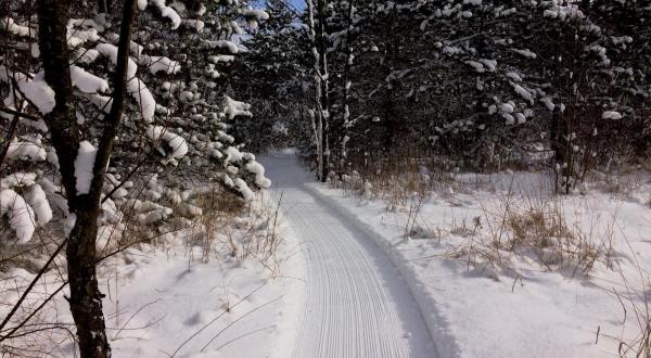 The Winter Trails At Love Creek County Park In Michigan Will Capture Your Heart