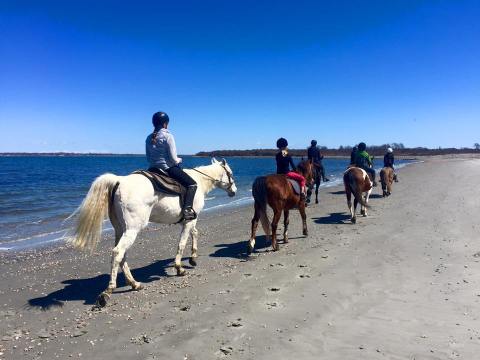 Visit Middletown's Second Beach By Horseback On This Unique Tour In Rhode Island