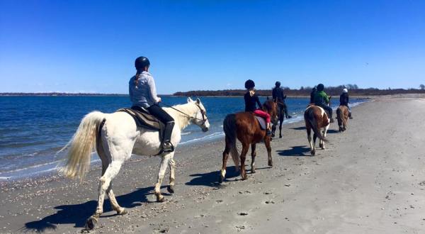 Visit Middletown’s Second Beach By Horseback On This Unique Tour In Rhode Island