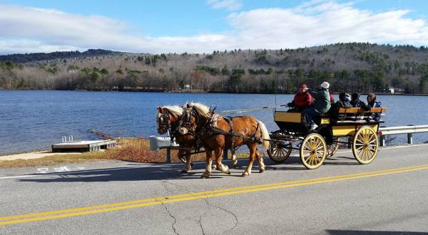 See The Charming Town Of Casco In Maine Like Never Before On This Delightful Carriage Ride