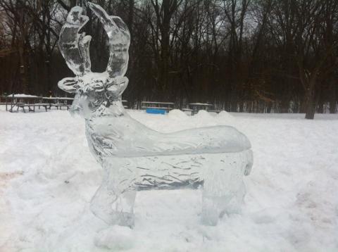 Marvel At Exquisite Animal Ice Carvings During The Ice Safari At Potter Park Zoo In Michigan