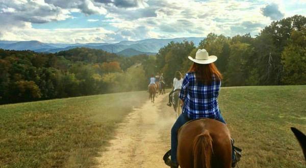 The Horseback Tours Of The Smoky Mountains At Jayell Horse Ranch In Tennessee Are Sure To Wow The Whole Family