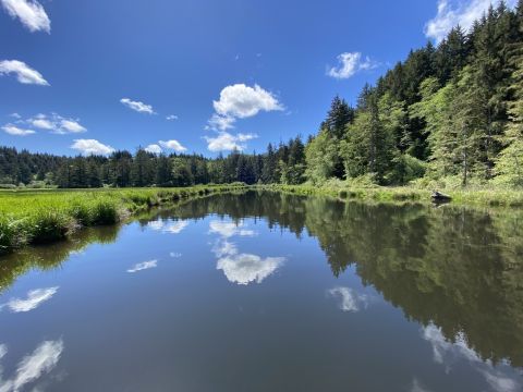 Explore A New Side Of Beaver Country With Beaver Creek State Natural Area Paddle, A Special Kayak Trail In Oregon