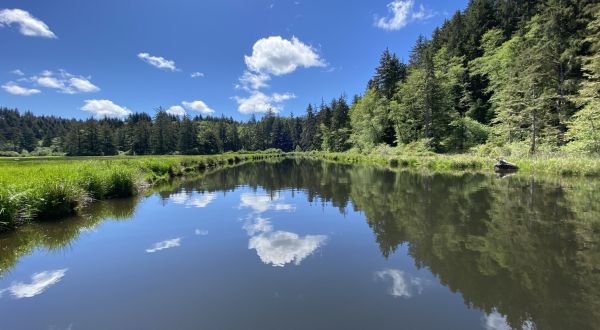 Explore A New Side Of Beaver Country With Beaver Creek State Natural Area Paddle, A Special Kayak Trail In Oregon