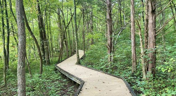 Stroll Along The Scenic Boardwalk Trail Around Sloan’s Crossing Pond In Kentucky