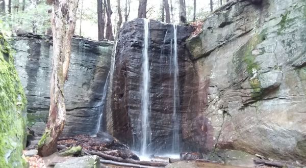 The Gorgeous 2-Mile Hike In Pennsylvania’s Allegheny National Forest That Will Lead You Past A Waterfall and Rock Formations