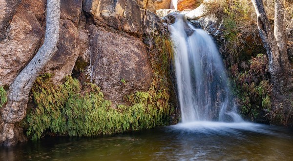 The First Creek Canyon Trail In Nevada Is A 4-Mile Out-And-Back Hike With A Waterfall Finish