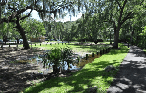 You'll Love The Relaxing Scenery At Lake End Park In Louisiana