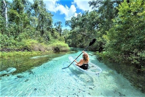 Take A Unique Crystal Clear Kayak Tour Through The Natural Springs Of Florida