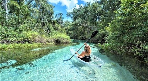 Take A Unique Crystal Clear Kayak Tour Through The Natural Springs Of Florida