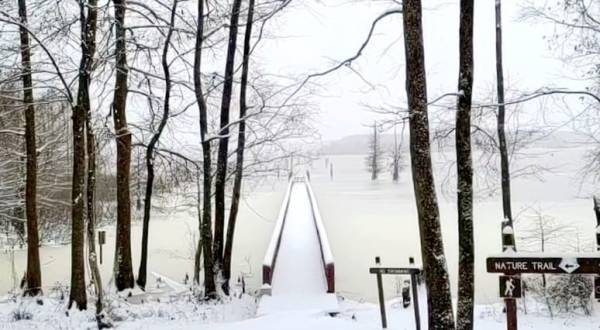 10 Magical Photos Of Snow Covered Louisiana During The February 2021 Storm