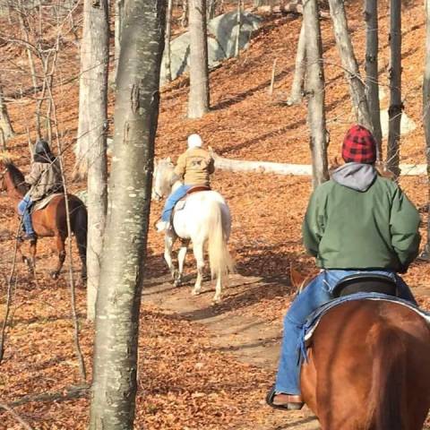 See Rhode Island's Beautiful Lincoln Woods On Horseback With A Tour From Sunset Stables