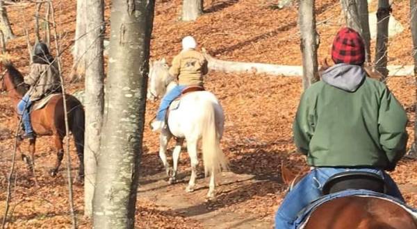 See Rhode Island’s Beautiful Lincoln Woods On Horseback With A Tour From Sunset Stables